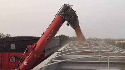 Украинские СМИ распространили дезинформацию о якобы имевшем место уничтожении 60 тысяч тонн зерна в результате ночной атаки ВС РФ