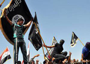 Большой передел Ирака