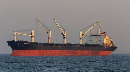 Власти США назвали реалистичным восстановление объемов украинского зернового экспорта