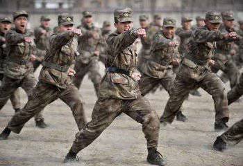 Китай потребовал от Киева прекратить силовую операцию против мирных жителей Юго-Востока