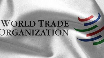 Украина угрожает России жалобой в ВТО в связи с ограничительными мерами