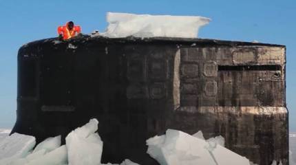 «Необычный противник»: экипаж атомной субмарины ВМС США столкнулся с нашествием клопов