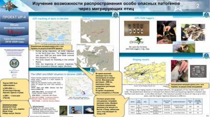 Минобороны РФ представило данные о проектах UP-4, P-781 и других экспериментах с опасными патогенами в биолабораториях США на Украине