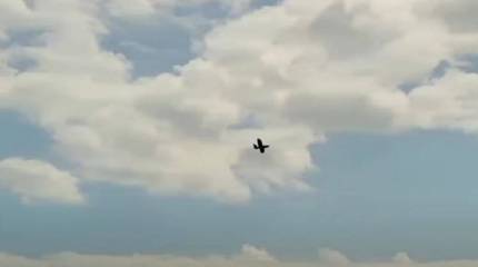 Украинские БПЛА атаковали Курчатов - город расположения Курской АЭС