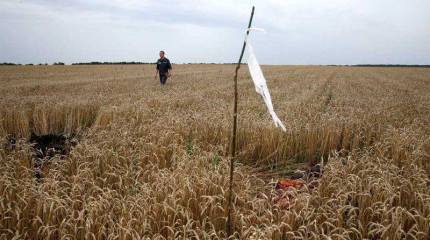 Климкин собрался сделать "предложение" голландскому коллеге в плане "наказания виновных" в крушении "Боинга"