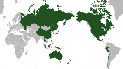 Почему Азиатско-Тихоокеанский регион стал номером один? Часть 1