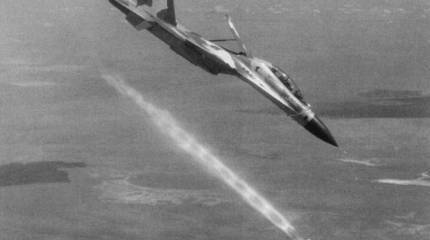 Су-30СМ и Су-35 замечены в Сирии в роли штурмовиков