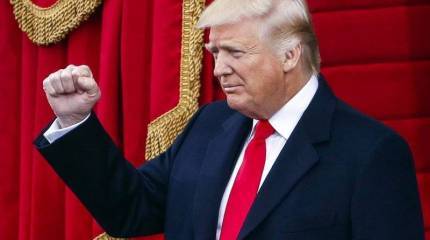 Дональд Трамп переложил разгром остатков ИГИЛ в Сирии на "местные страны"