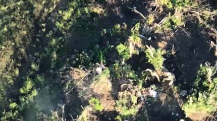 Российские войска успешно наступают северо-восточнее Водяного на Авдеевском фронте