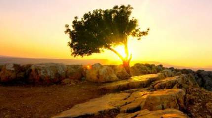 Линии фронта в сирийском конфликте как контуры будущего мирового порядка