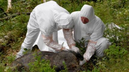 СМИ: Пентагон отрабатывает методы биологической войны в Прибалтике