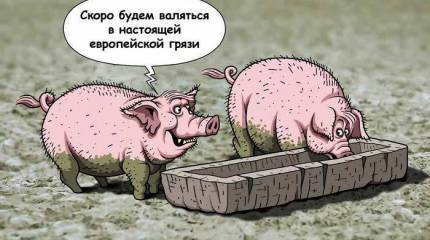 Украина. Итоги года жизни с широко закрытыми глазами
