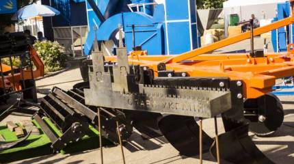 Записки Колорадского Таракана. Ой, да то не ветер ветку клонит...