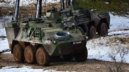 Украинская пресса сообщила о тайной передаче Словенией киевскому режиму бронетранспортеров Valuk