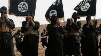 "Исламское государство" нашло работу для сочувствующих женщин из Индии