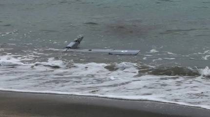 Украинский БПЛА обнаружили на пляже болгарского курорта Бургас