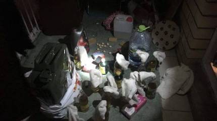 ФСБ предотвратила «революцию 5 ноября»