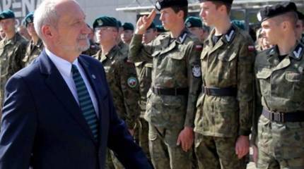 Обширно мобилизованные