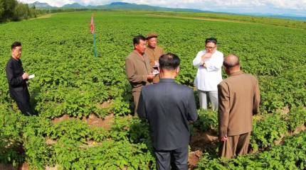 Помпео:  Пхеньян должен передать ядерные боеголовки третьей стороне