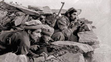 Четыреста против двадцати трех…