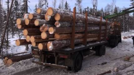 В Финляндии спорят о возможной угрозе для деревообрабатывающего бизнеса в связи с решением Путина