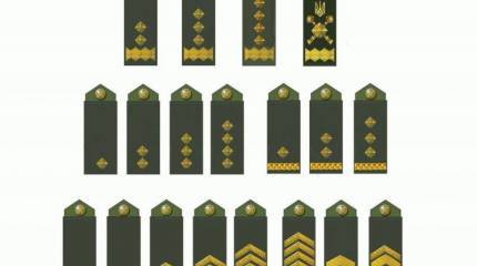 В Госпогранслужбе Украины вводят новые звания по стандартам НАТО