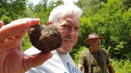 Макаревич заявил о причине "ненависти" властей Украины и России к Зеленскому