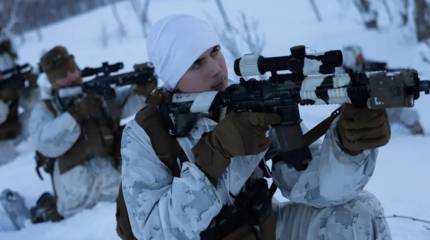 Глава Минобороны Бельгии: у ЕС есть план на случай нападения США на Гренландию