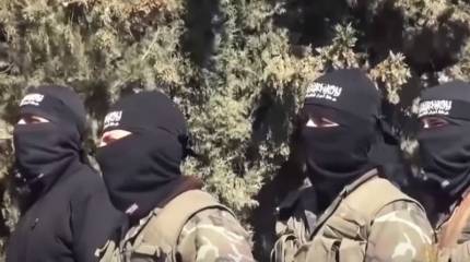 В США признали, что не воюют против террористов в сирийском Идлибе