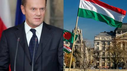 Лучше поискать другое место: премьер Польши Туск о встрече Путина и Зеленского в Будапеште