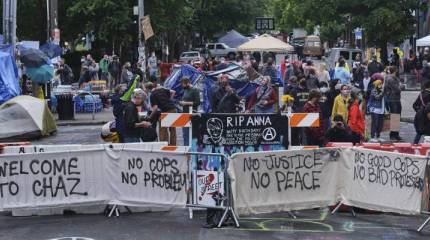 Чёрный передел, белый вопрос и новая анархия