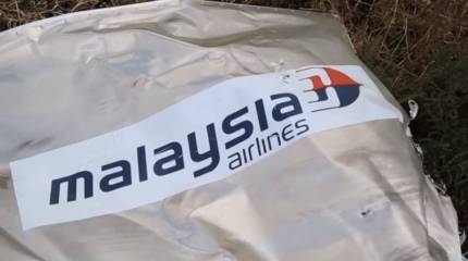 Французское издание опубликовало некоторые показания свидетеля по делу MH17