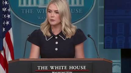 Левитт: Зеленского на встрече президентов США и России не будет