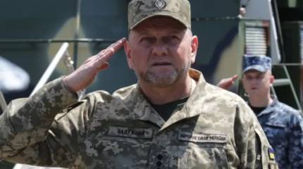 Советник главы офиса Зеленского: Залужный не более чем назначенный менеджер