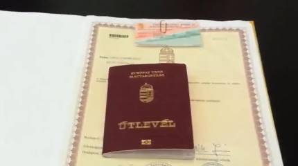 Будапешт поднял перед Киевом вопрос о забитом до смерти мобилизованном с двойным украинско-венгерским гражданством