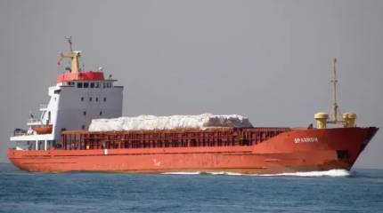 Йеменские хуситы захватили в Красном море связанное с Израилем судно для перевозки животных