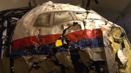 Процесс по делу MH17 станет проверкой Нидерландов на объективность правосудия