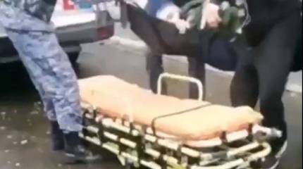 В результате стрельбы в военкомате Усть-Илимска Иркутской области тяжёлые ранения получил военком города