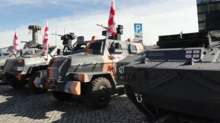 Вооружение с выставки "Изготовлено в Грузии"