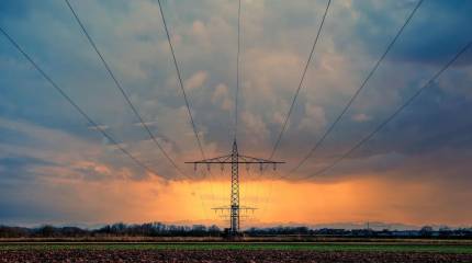 Цена русофобии: выход из БРЭЛЛ в 2025 году обошёлся Эстонии в десятки млн евро