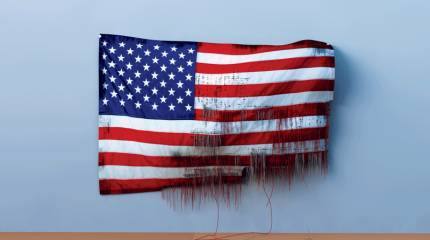 Упадок американских политических институтов ("The American Interest", США)