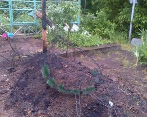 В Одессе вандалы осквернили могилы погибших в трагедии 2 мая