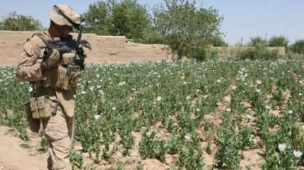 Роль США в организации мировой наркоторговли