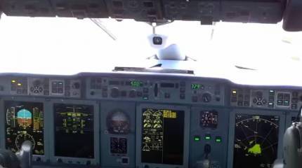 ГП «Антонов» работает: Минобороны Украины планирует закупку трёх транспортных самолетов Ан-178