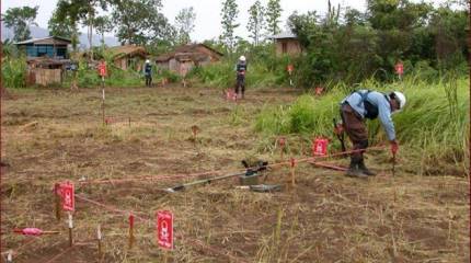 Подготовкой украинских сапёров занялись специалисты из Камбоджи