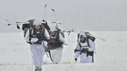 Вожделенный кусок льда