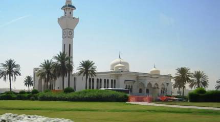 «Вакханалию» Израиля обсуждают представители 57 стран исламского мира в Катаре