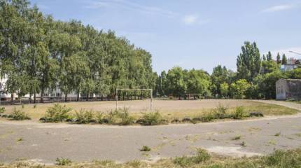 Триптих в коричневых тонах. О спорт, ты – спорт!