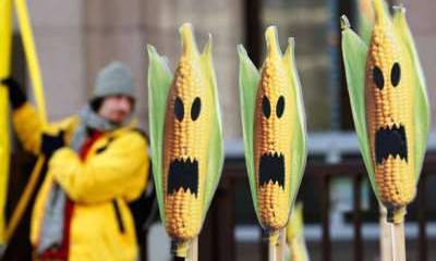 Кукуруза? Биологическое оружие!