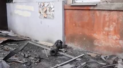 В прессе Британии вышел материал с призывом к прямому вмешательству НАТО в вооружённый конфликт на Украине